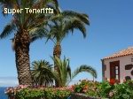Ferienhaus im Norden von Teneriffa - Finca Don Quijote - Palmen und Meer